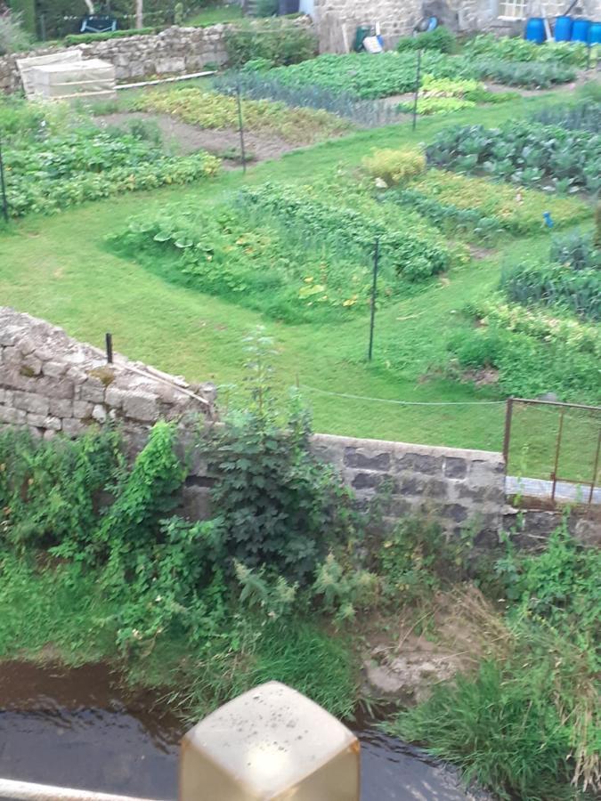 Appartement Rez De Chaussee Avec Terrasse Et Jardin Tence المظهر الخارجي الصورة